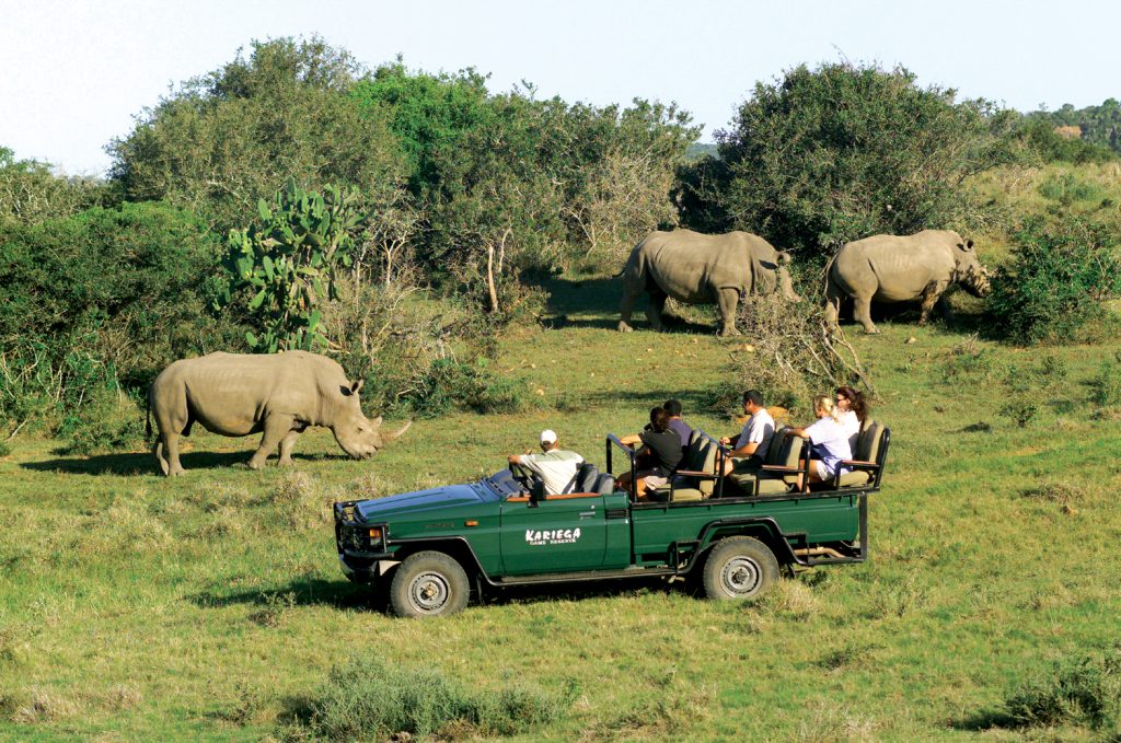 Where to see ‘Big 5’ wildlife